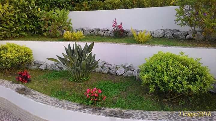 B&B Il Quadrifoglio Tropea Eksteriør bilde